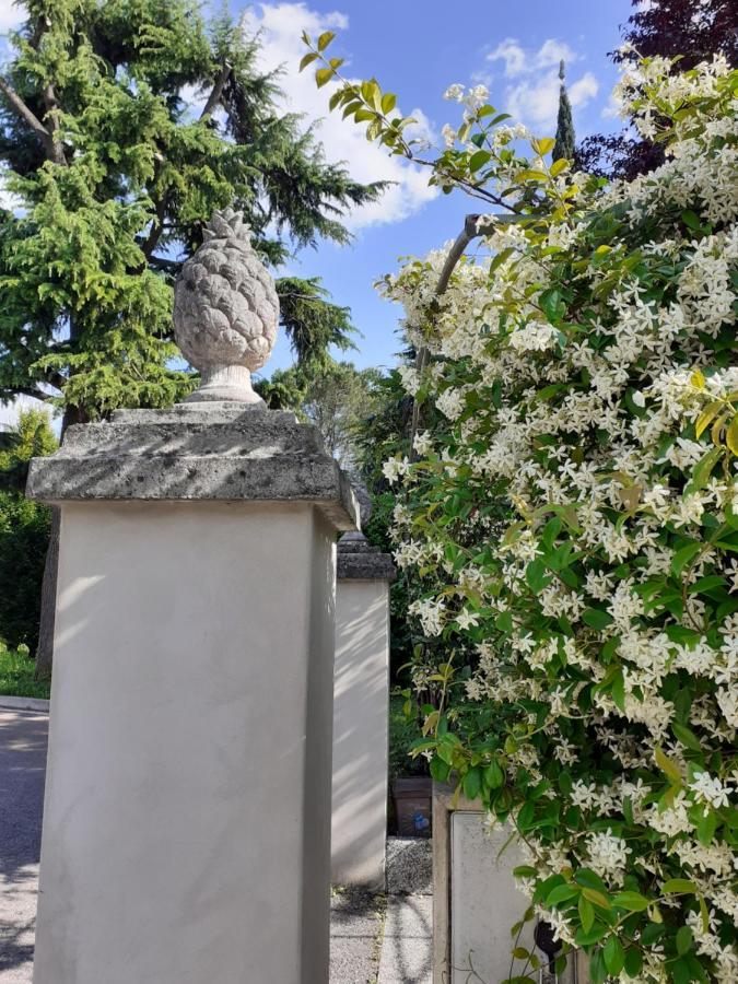 مبيت وإفطار Susegana Strada Del Collalto المظهر الخارجي الصورة